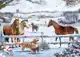 CADEAUSHOP PUZZEL CHRISTMAS ON THE FARM, 995 ALL-IN PUNTEN