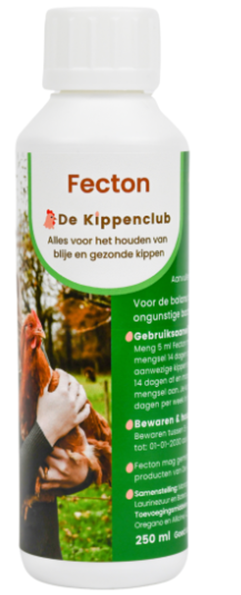 FECTON