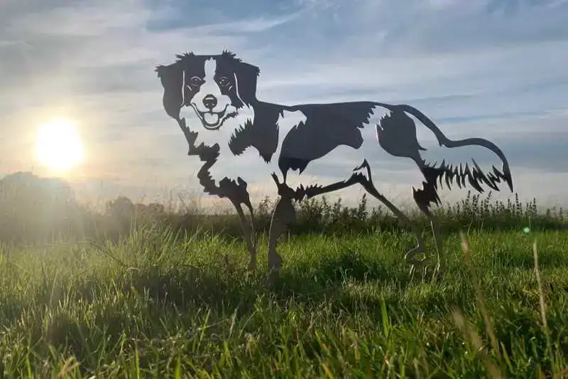 METALEN KOOIKERHONDJE LEVENSECHT