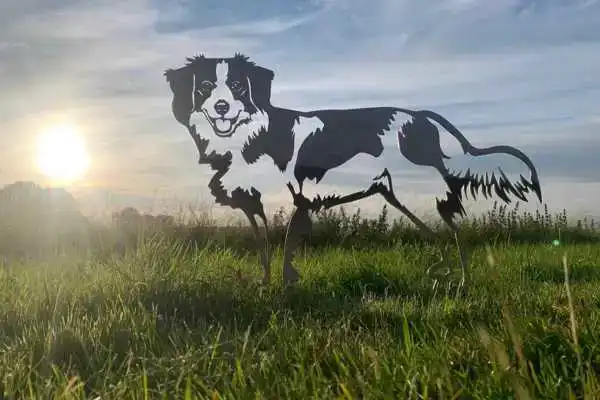 METALEN KOOIKERHONDJE LEVENSECHT
