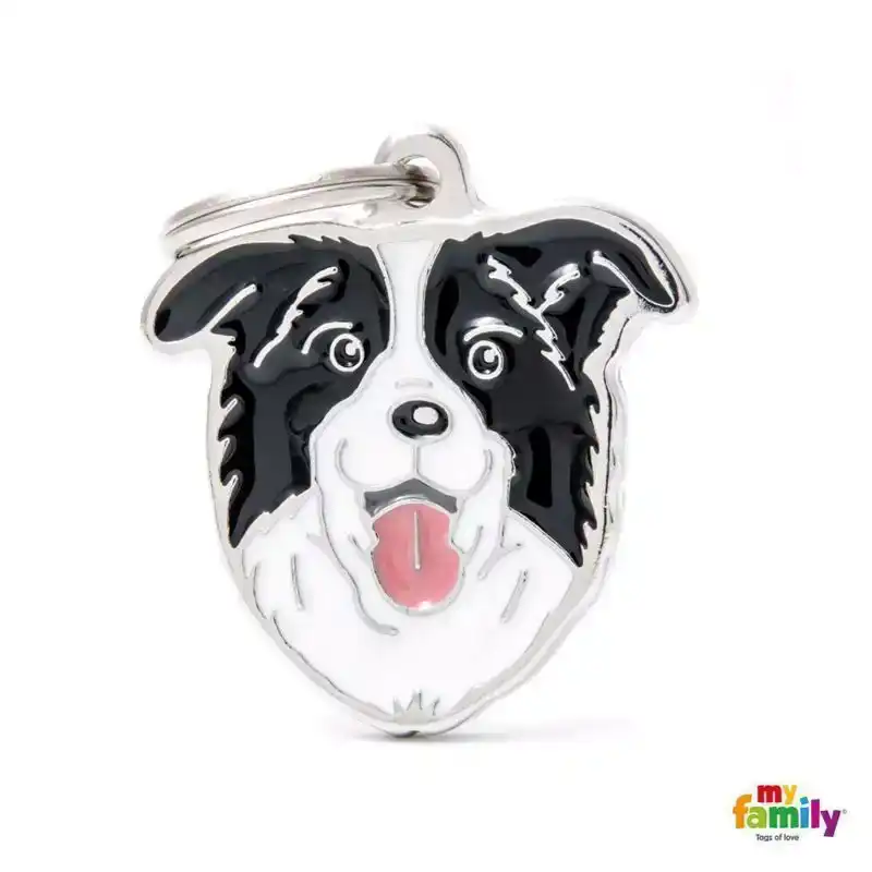 PENNING BORDER COLLIE