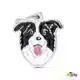 PENNING BORDER COLLIE