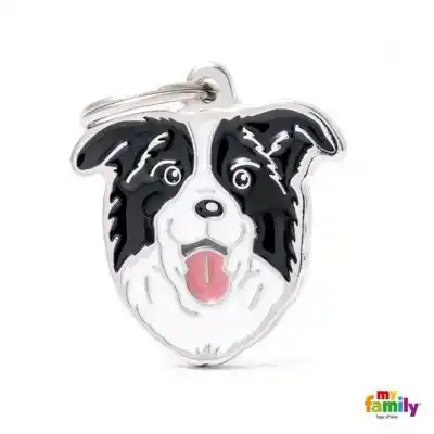 PENNING BORDER COLLIE