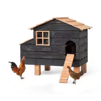 DAI KIPPENWONING HARM