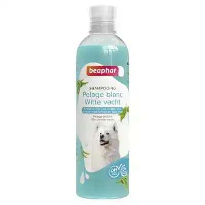 SHAMPOO WITTE VACHT HOND 250 ML
