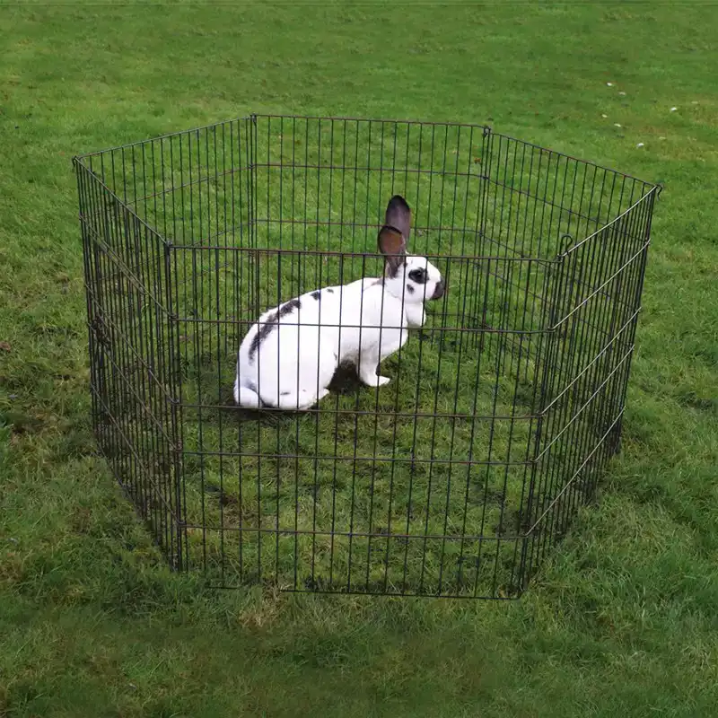 DUVO+ KNAAGDIERENPARK ZWART