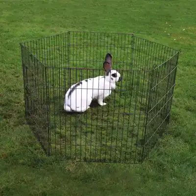 DUVO+ KNAAGDIERENPARK ZWART