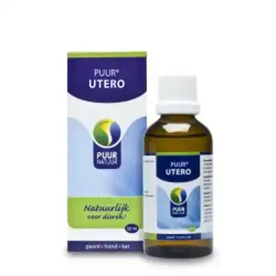 PUUR UTERO
