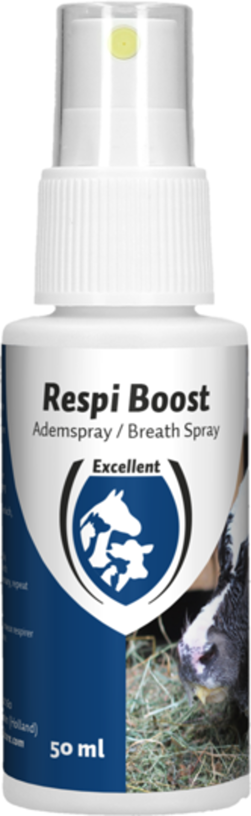 RESPI BOOST (ADEMSPRAY) 50ML