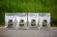 DIER ALL IN HORSE TRUFFELS VANILLE 1KG