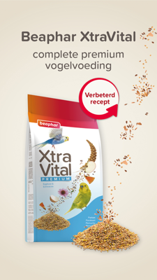XTRAVITAL PARKIET 1KG