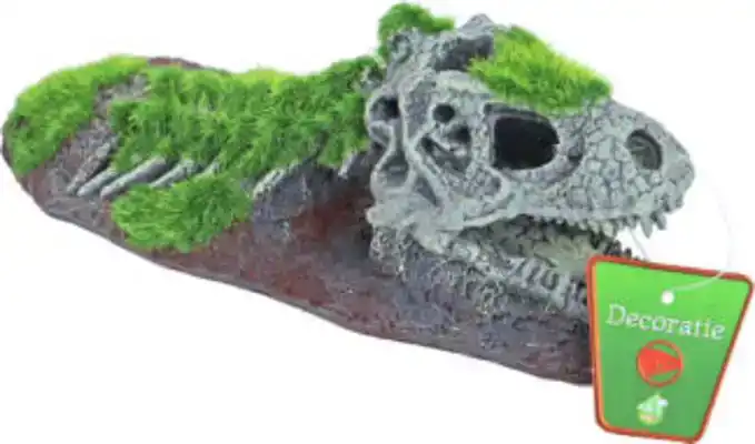 BOON AQUA DECO ORNAMENT DINOSAURUS SKELET 21X9CM