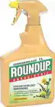 ROUNDUP NS NATUURLIJK ONKRUIDVRIJ KANT EN KLAAR 1L