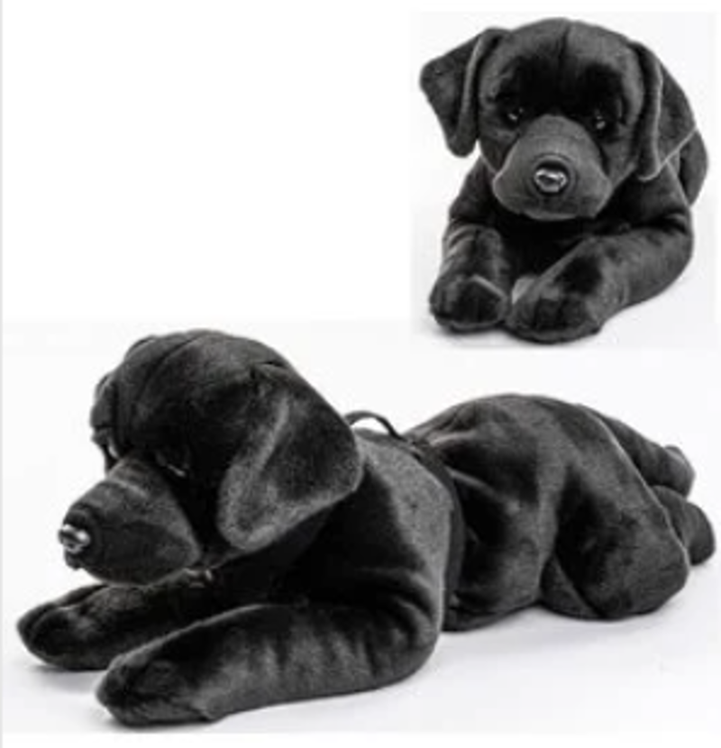 CADEAUSHOP PLUCHE KNUFFEL LABRADOR, 2750 ALL IN PUNTEN