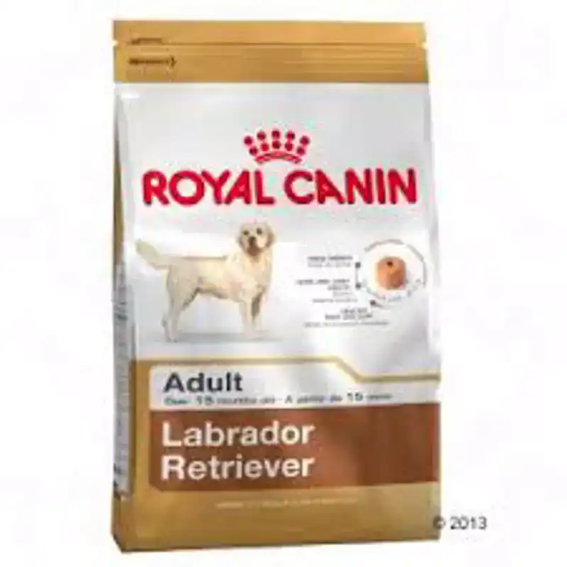 RC BHN LABRADOR RET. AD 3KG
