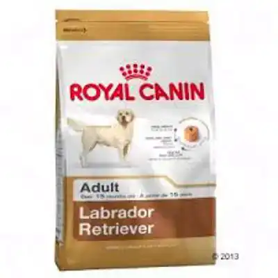 RC BHN LABRADOR RET. AD 3KG