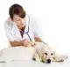 CADEAUSHOP DIEROTHEEKCHEQUE CONSULT DIERENARTS, 1500 PUNTEN