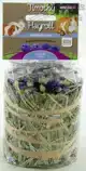 TIMOTHY HAY ROLL KORENBLOEM 8X100 GR