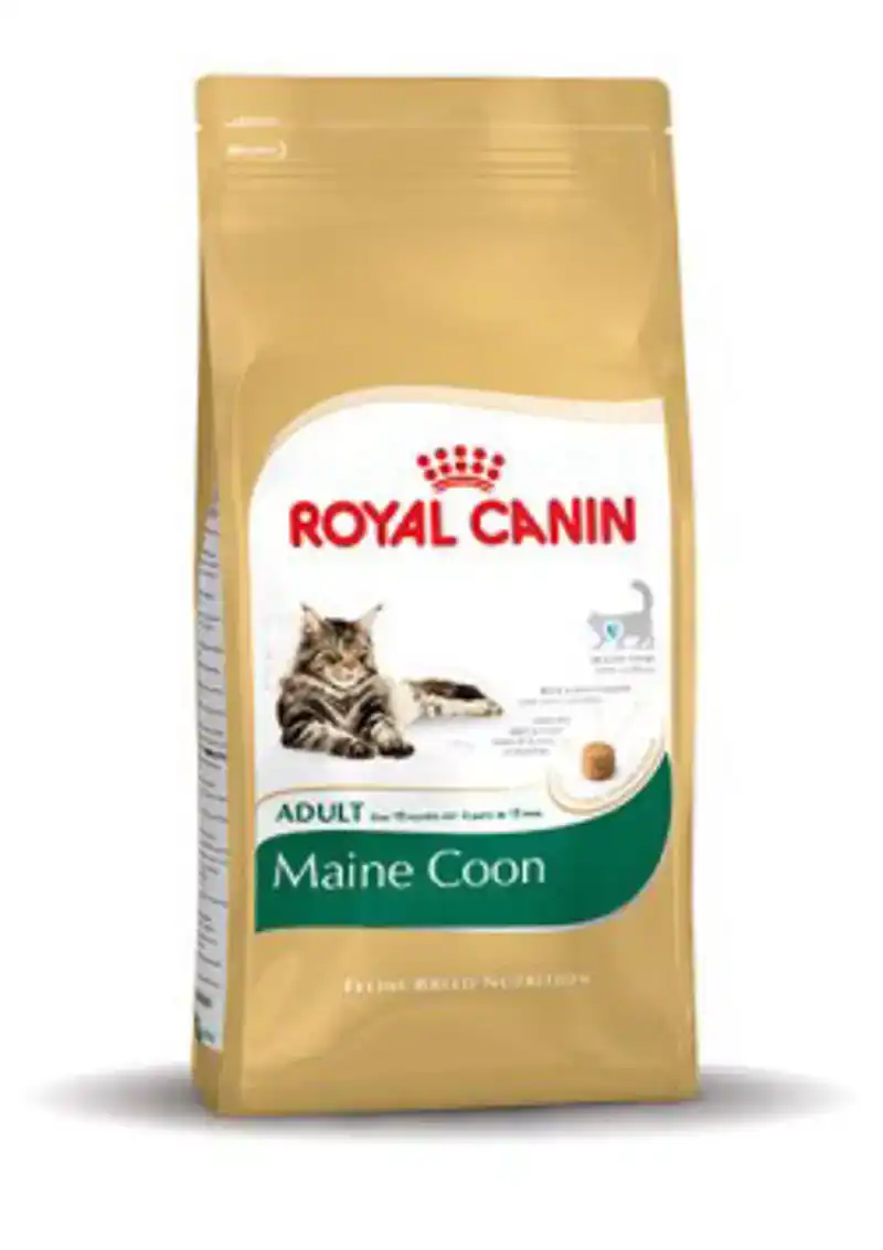 RC FBN MAINE COON 2KG
