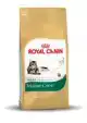 RC FBN MAINE COON 2KG