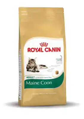 RC FBN MAINE COON 2KG