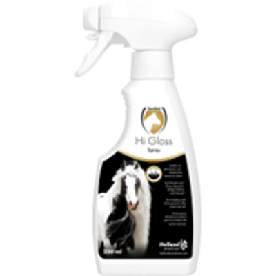HI GLOSS SPRAY 250 ML