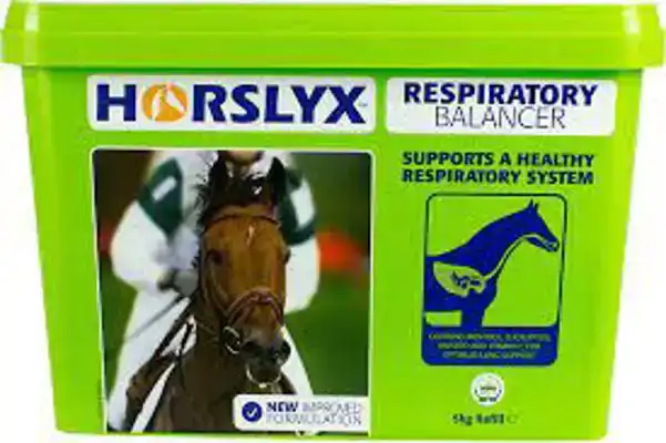 HORSLYX RESPIRATORY 5 KG