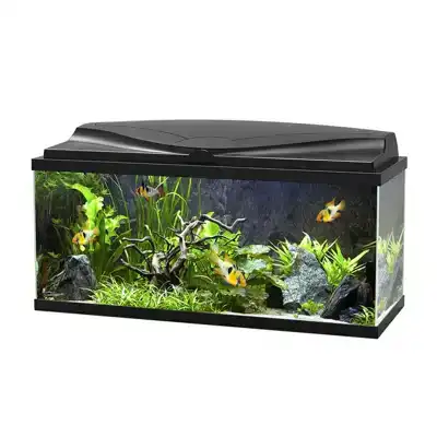 CIANO AQUARIUM 80 LED CF80