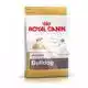 RC BHN ENGLISH BULLDOG JR 3KG