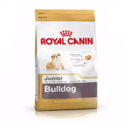 RC BHN ENGLISH BULLDOG JR 3KG