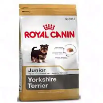 RC BHN YORKSHIRE TER. JR 1,5KG