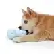 EBI PETIT WATERSPEELGOED COCO GEEL