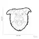 PENNING BORDER COLLIE
