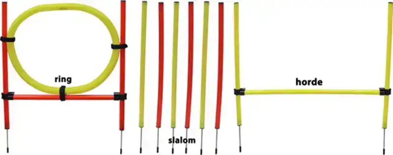 AGILITY-SET 12-DELIG