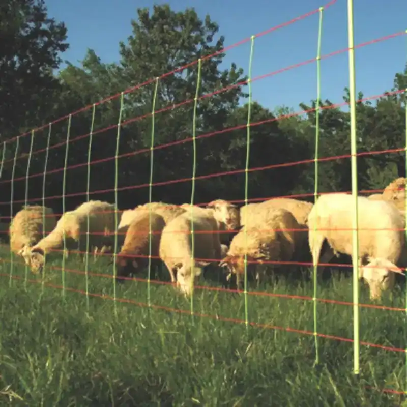 GALLAGHER COMBINET VOOR SCHAPEN, 90CM, 50M (ENKELE PEN)