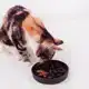 DISTRICT 70 BAMBOO CAT SLOW FEEDER - Ø 13,5 CM - ICE BLUE