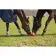 MAXIMUS FUN PLAY BALL RED