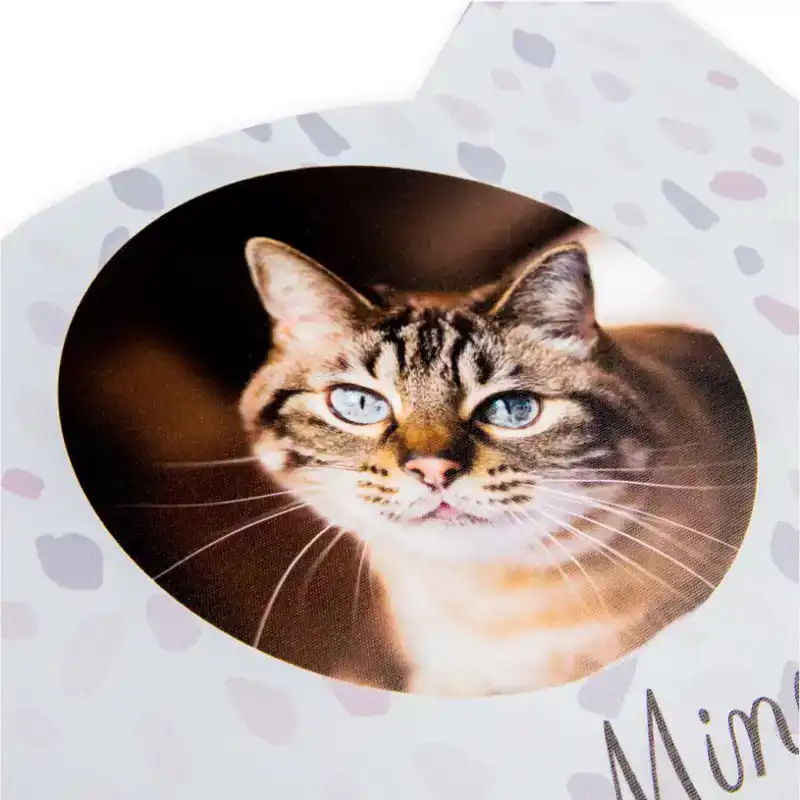 ONTWERP EEN PLACEMAT VOOR JOUW KAT!