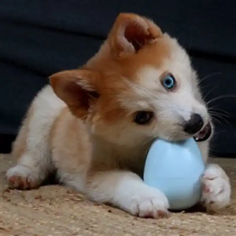 EBI PETIT WIEBELSPEELGOED BALU ROZE