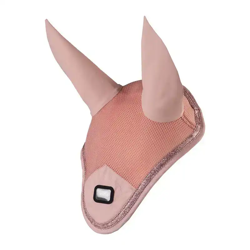 CADEAUSHOP OORNETJE BRILLIANCE, 850 ALL-IN PUNTEN