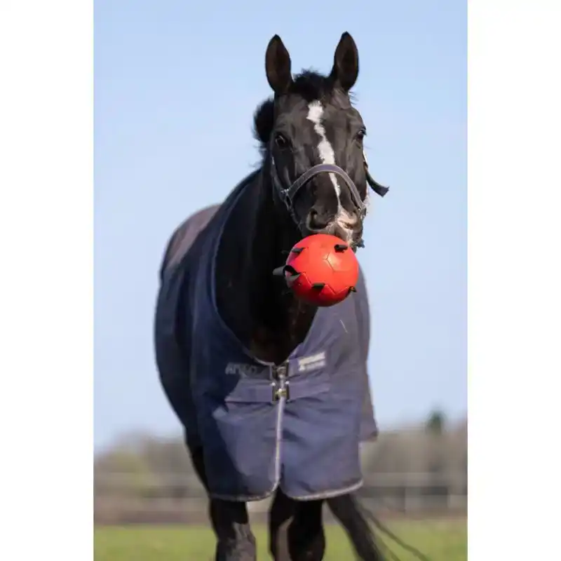 MAXIMUS FUN PLAY BALL ORANGE